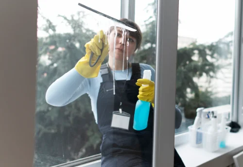 Nettoyage de vitres intérieures et extérieures à Pugnac